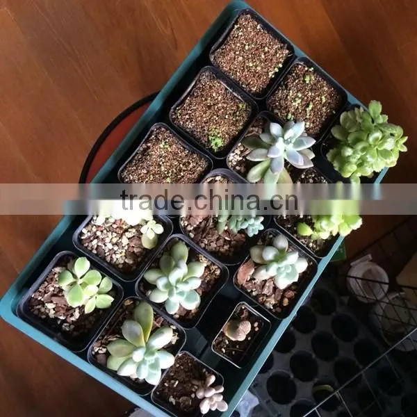 Seed Germination Tray/seed Starting Tray/seed Trays for Sale