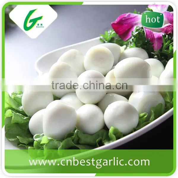 Import Fresh Quail Eggs photo-3