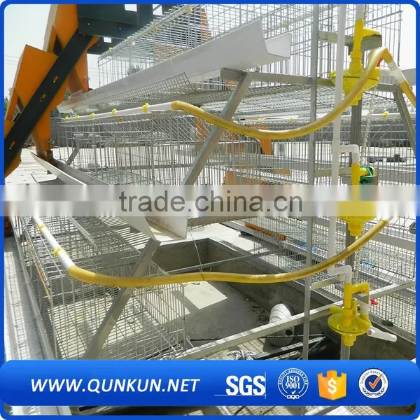 Samples of Poultry House for Layers photo-2