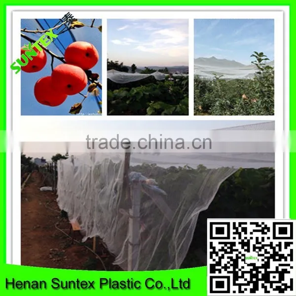 Supply Various Apple Tree Anti Hail Net/hail Protection Net/anti Brid Net photo-4