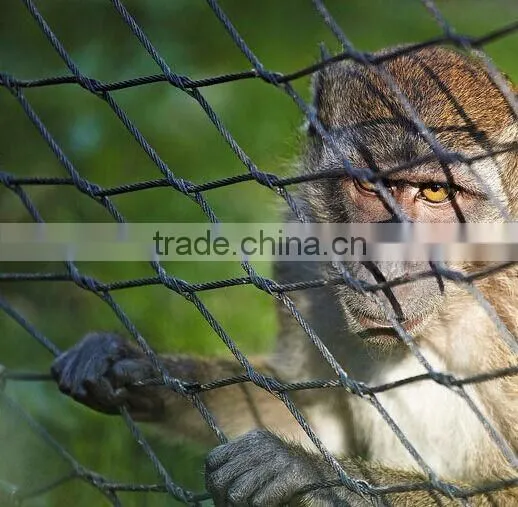 Aviary Netting for Sale