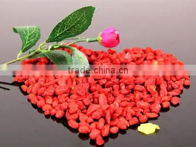 100% Natural Goji Berry Chinese Berry Goji Ningxia Wolfberry photo-2