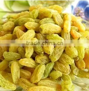 AD Dried Green Raisins With Good Quality for Sale photo-5