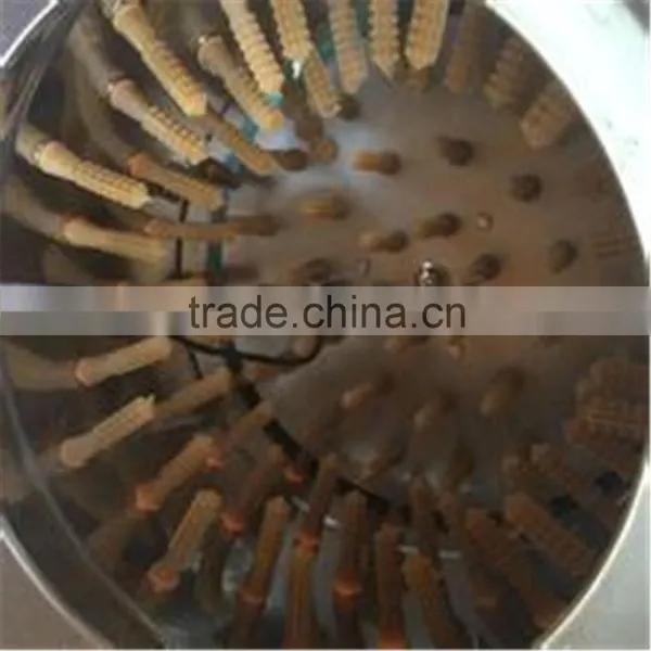Automatic Poultry Broiler Poultry Hair Removal Machine photo-3