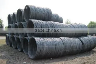 Wire Rod Li Xiaoxi photo-3