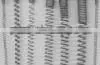 Electric Heating Alloys Wire