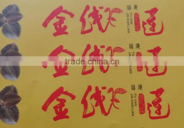 Offset Printing Service,art Paper Boarder Printing, photo-3