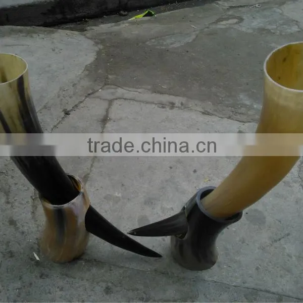 Natural Horn With Stands photo-4