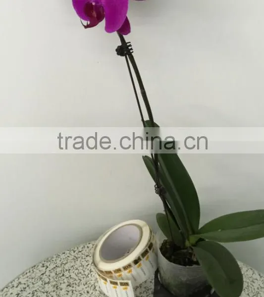Low Price and High Quality Paper Material Labels Printed Adhesive Stickers in Roll photo-2
