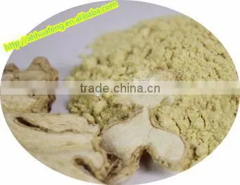 Dried Ginger Powder Hight Quality Ginger Root Extract Powder photo-4
