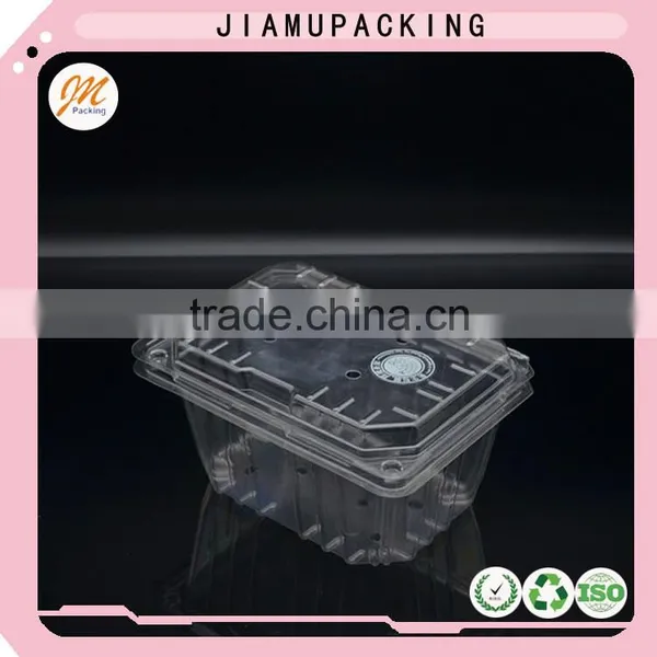 Wholesale Plastic 1 kg Tomato Boxes photo-3