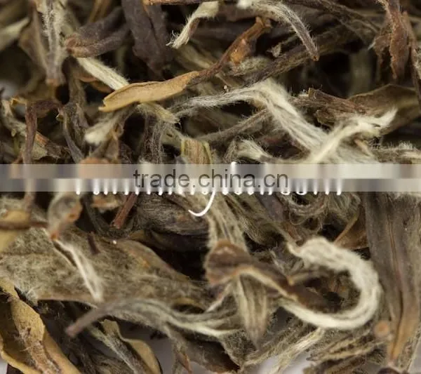 Pure Raw White Tea White Tea Extract