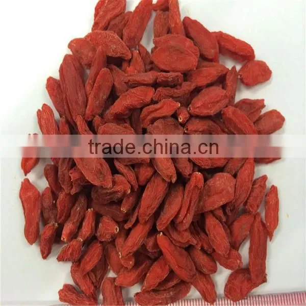 2016 Ningxia Goji Berry photo-2