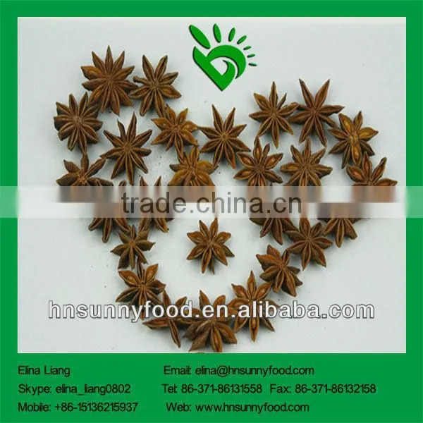 China Manufacturer Dried Star Aniseed