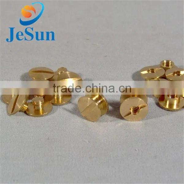China Factory Wholesale Brass Screws photo-2