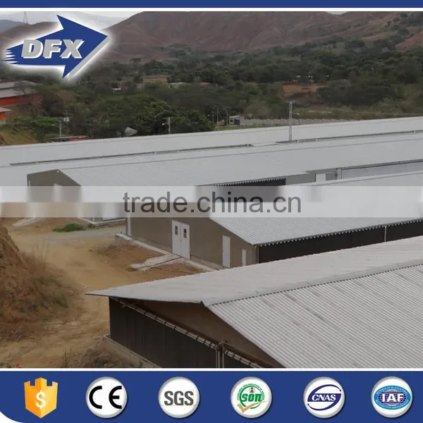 China Poultry Chicken Egg Poultry Farm