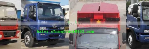 Hot Selling China Foton Rowor Heavy Dump Truck With Low Price photo-2