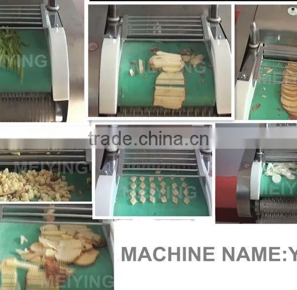 Chinese Electric Automatic Multifunctional Vegetable Cutter 130-660kg/h Capacity photo-5