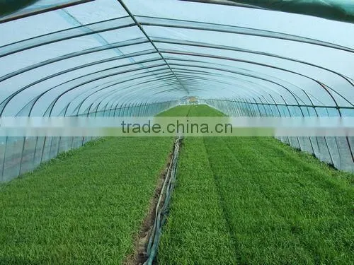 100mm Pvc Plastic Film Covered Tunnel Greenhouse For Private Agicultural Planting photo-4