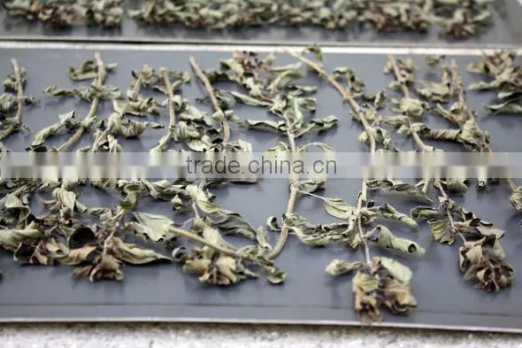 Dried Oregano Leaf photo-2