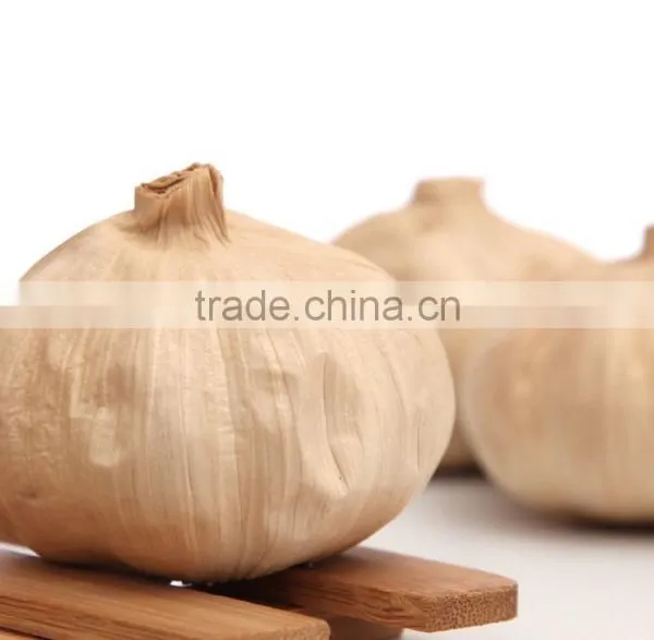 Many Heads Black Garlic P.E.--HC Company photo-4