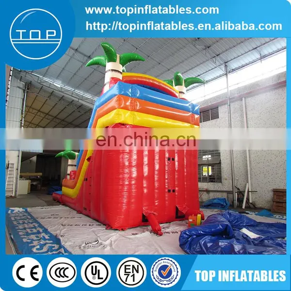 High Quality Outdoor Toys PVC Giant Inflatable Water Slide photo-4