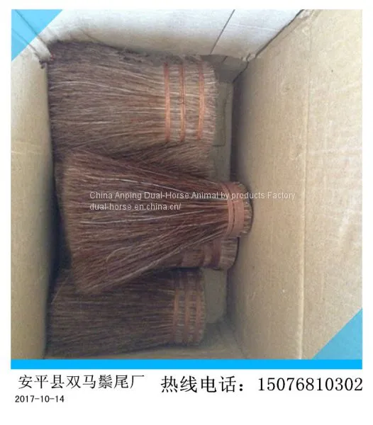 Horse Root Tail Hair photo-4
