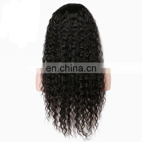 Brazilian Human Hair Preplucked Curly Wave Lace Front Wig photo-5