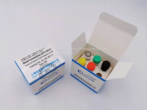 Novel Coronavirus (COVID-19) Nucleic Acid Detection Kit photo-2