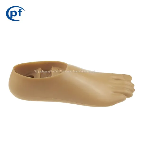 Medical Prosthetic Leg Single Axis Foot, Artificial Limbs Feet photo-3