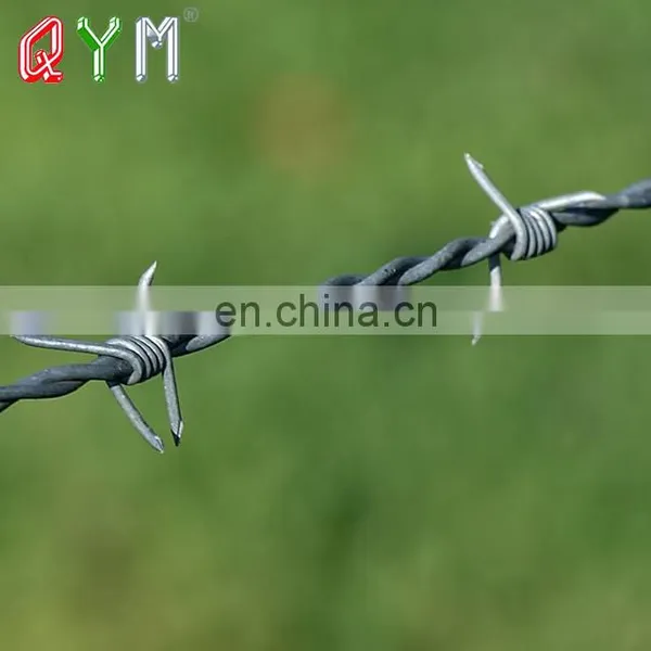 Hot-Dipped Galvanized Barbed Wire Cheap Price photo-2