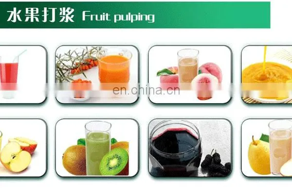 Stainless Steel Coconut Milk Screw Industrial Fruit Apple Watermelon Mango Pineapple Juice Crusher Juicer Extractor Machine photo-5