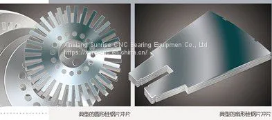 Silicon Steel Sheet Deburring Machine photo-4