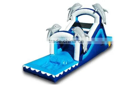 Giant Inflatable Water Slide With Pool Toys/games for Kids photo-4