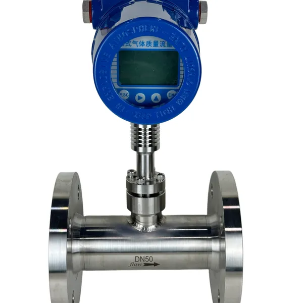 Industrial Thermal Gas Mass Flowmeter OEM 0-200 Nm3/h Range 304SS Body IP65 Rated for Harsh Environments
