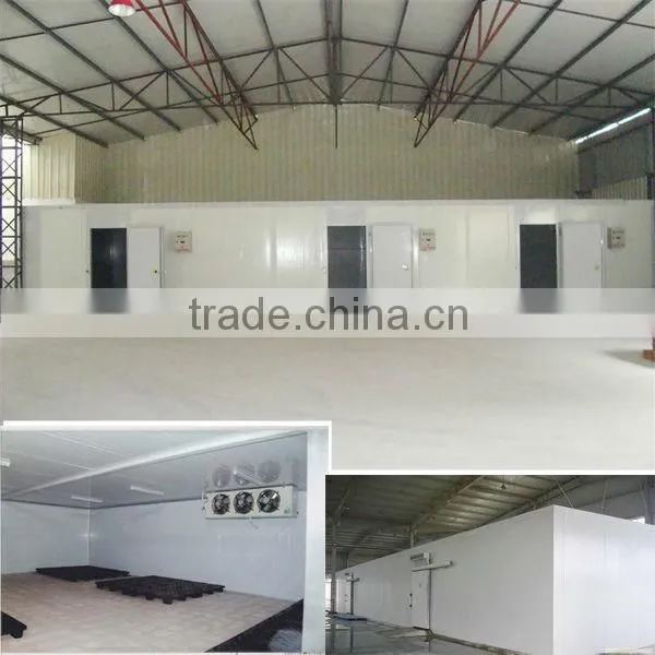 China Seed Germination Chambers With Copland Compressor Condensing Unit, Cold Room photo-2