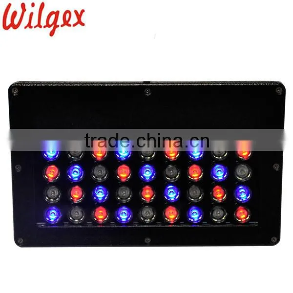 IP65 Waterproof Outdoor LED Garden Lights photo-2