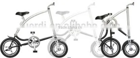 6 Speed Bike Mini Foldable Bike New Model E-bike Fashion E-bike photo-3