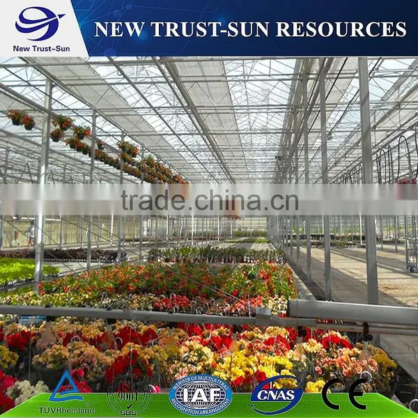 One Stop Solution for Multi-span Tomato Greenhouse With PC Sheet Covering Material