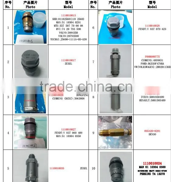 Pressure Limiting Valve 1110010015 photo-3