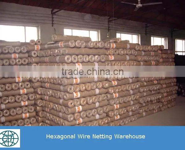 Cheap Price High Quality Fence Mesh Chicken Wire Mesh photo-2