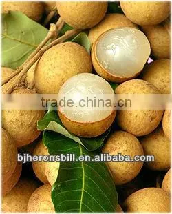 Longan Fruit Powder,fruit Extract Powder