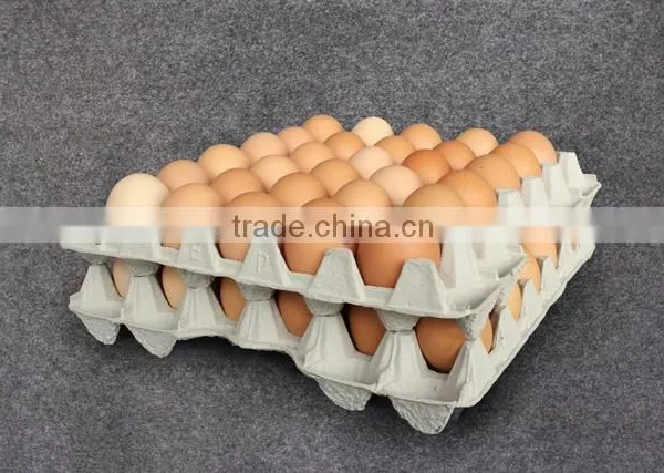 Recycle Paper Pulp 30 Eggs Egg Tray Carton