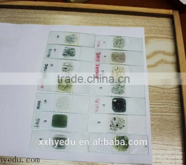 Lab Prepared Slides , Glass Prepared Slides,science Prepared Slides photo-6