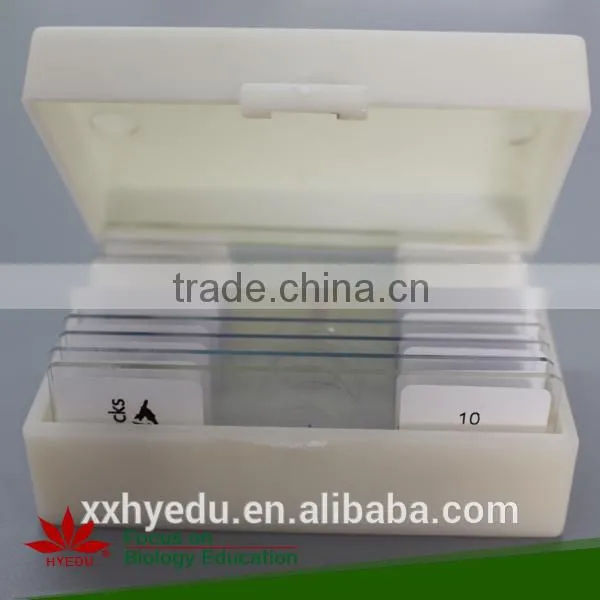 Platyhelminthes Microscope Prepared Slides ,Nematodes(Free Living Roundworm) Slides, Prepared Slide photo-4