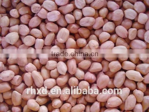 Bulk Peanut Kernel photo-2