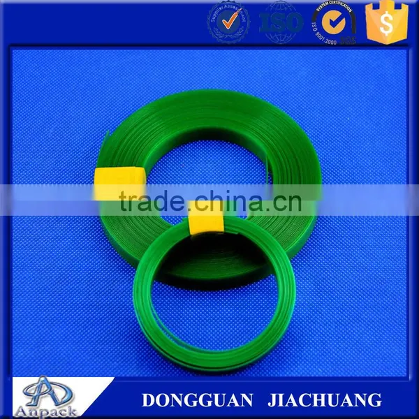 Green PET Strap Supplier photo-4