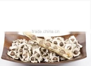 Moringa Seeds