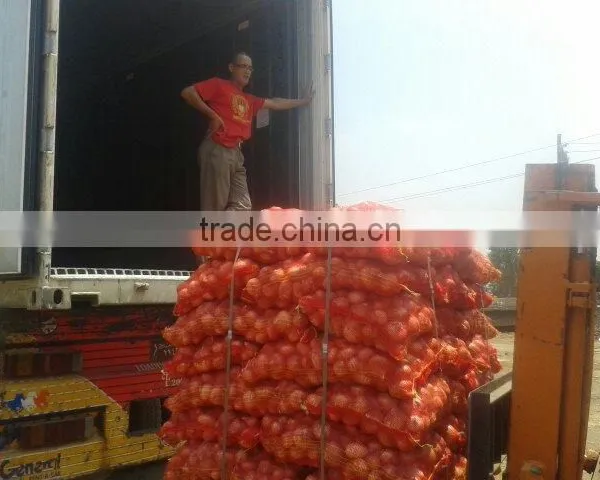 Fresh Red Yellow Onion for Export photo-6