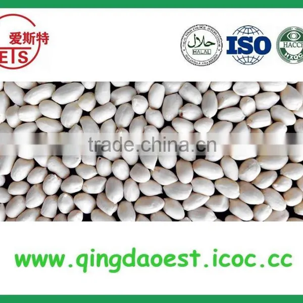 Blanched Peanut Kernel 25/29 Cheap Factory Price With Good Quality for Sale photo-5